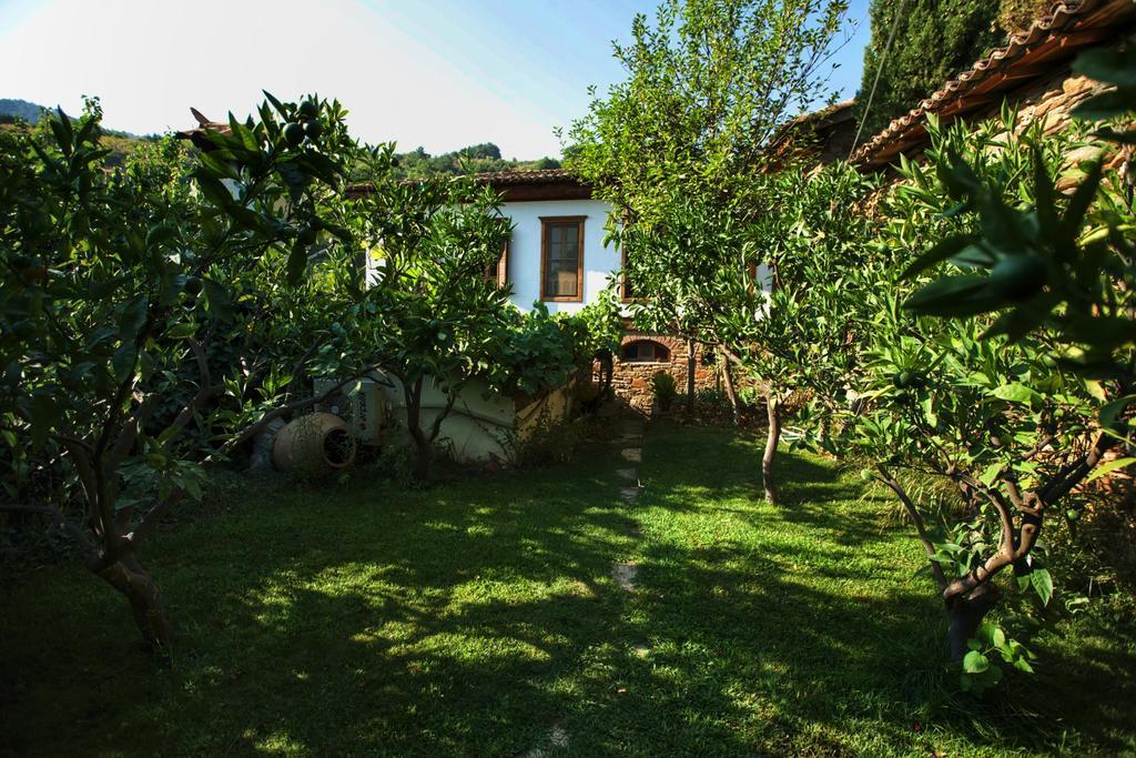 Terrace Houses Sirince Selçuk Ngoại thất bức ảnh